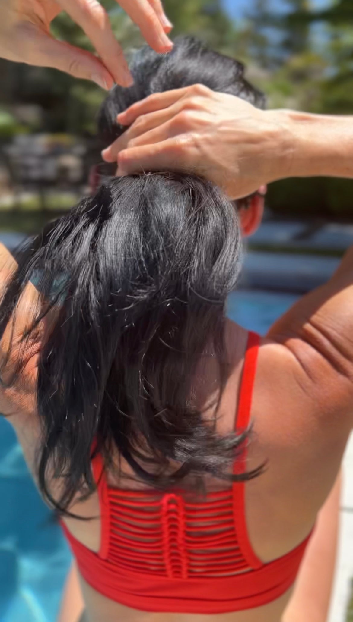 French Hair Pin